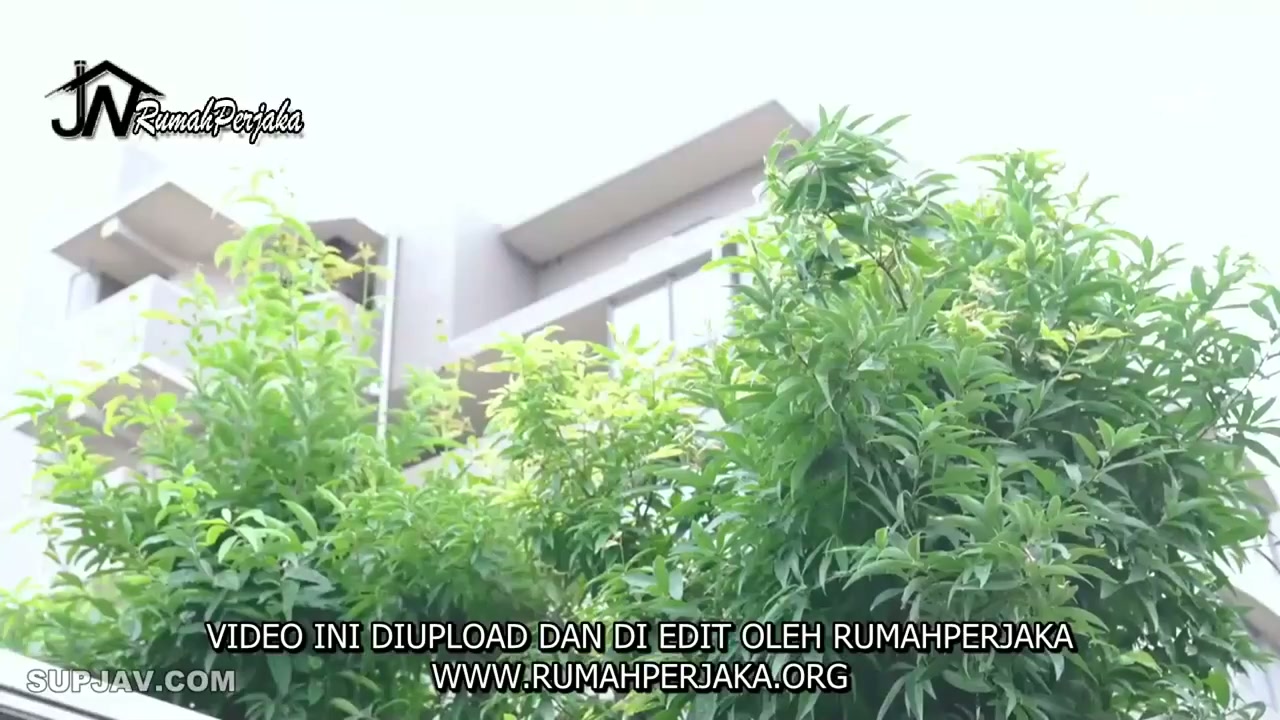 Jav Sub Indo [SSIS-874] Kakakku yang suka menggodaku – Mei Washio