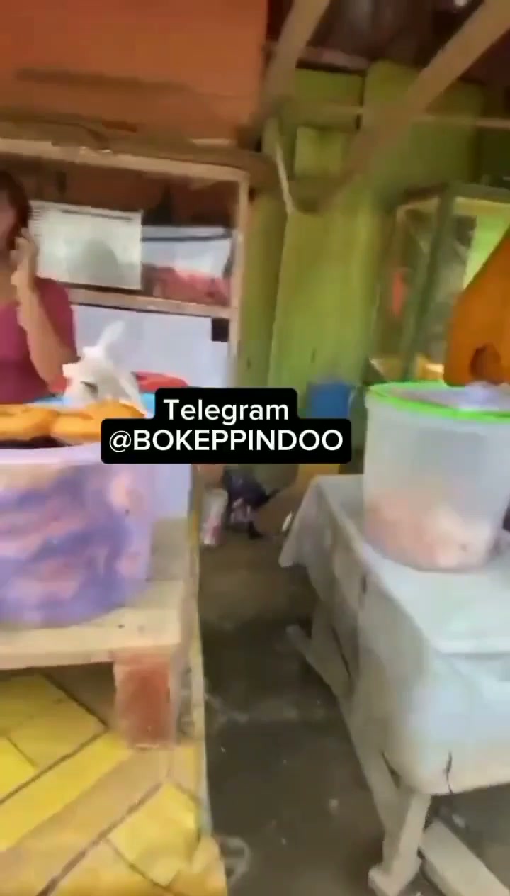 Penjaga warung.mp4
