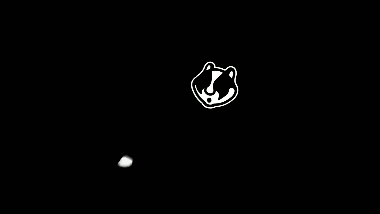 1000688833.mp4